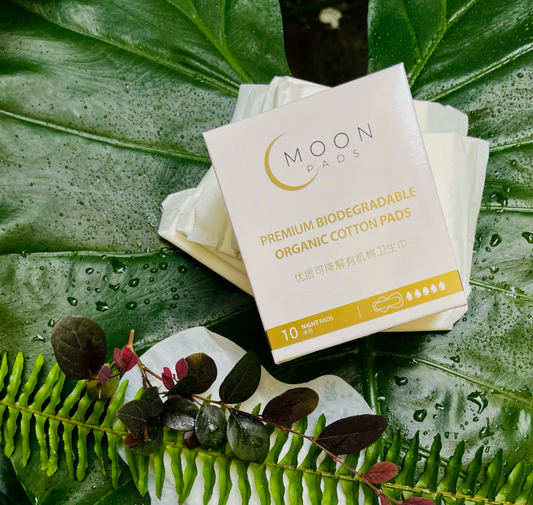 HUMAN NATURE CONNECTION : WHY USE COMPOSTABLE PRODUCTS?